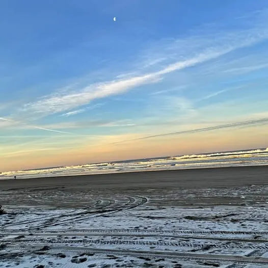 Aerial drone view of ocean shoreline with waves and sand