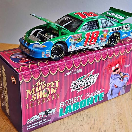 1:24 NASCAR diecast race car in green and blue livery, shown on display box