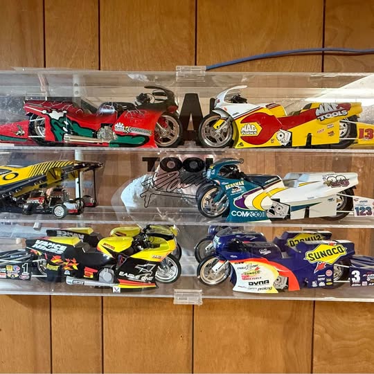 Diecast racing car models in clear display case with multiple colorful cars