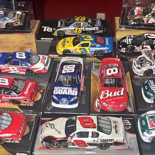 NASCAR diecast race cars in clear display boxes, including #8 and #3 models