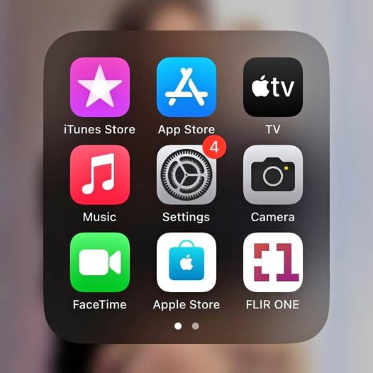 FLIR ONE thermal imaging app icons on device screen