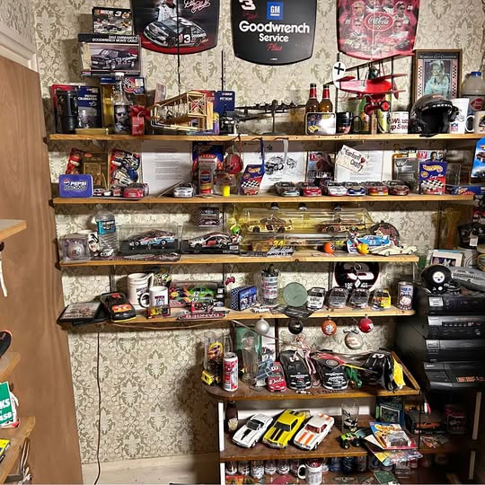 Assorted NASCAR racing diecast cars and collectibles displayed on store shelves