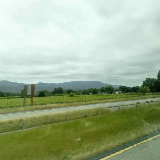Grassy field beside a road with hills in the distance
