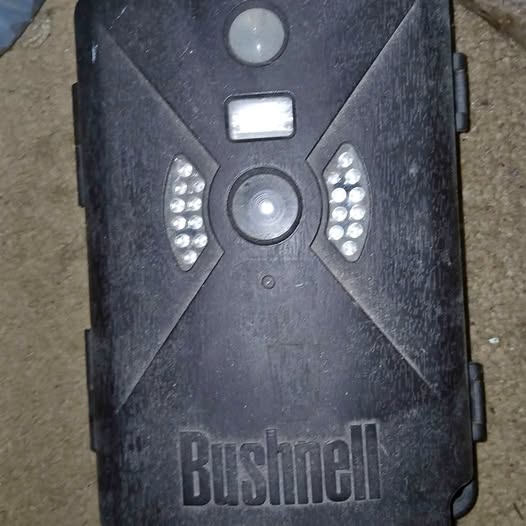 Trail camera front with Bushnell logo, lens, and IR LED array