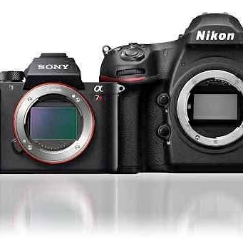 Black Nikon and Sony DSLR camera bodies with attached lens mounts and control dials