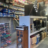 Wooden tower speaker cabinet with two large round drivers and black control panel
