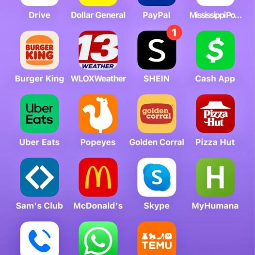 App and payment icon grid with Burger King, 13 Weather, Shein, and Cash App