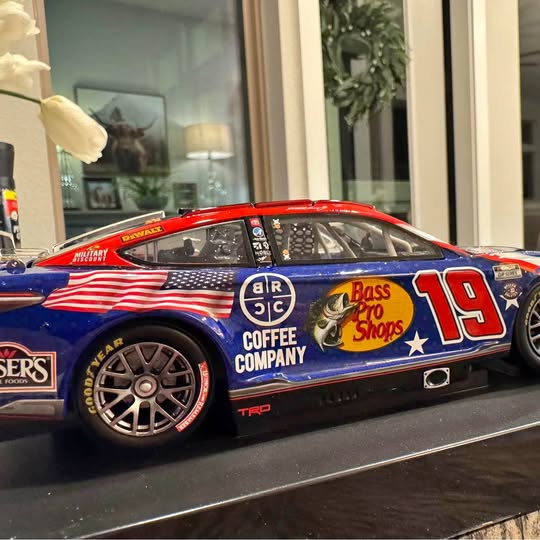 1/24 NASCAR diecast racing car, blue with red/white stripes and number 19 on side