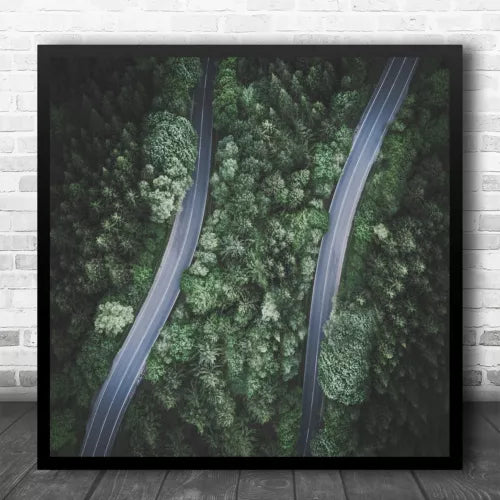 Square framed aerial forest road print with green trees and two gray lanes