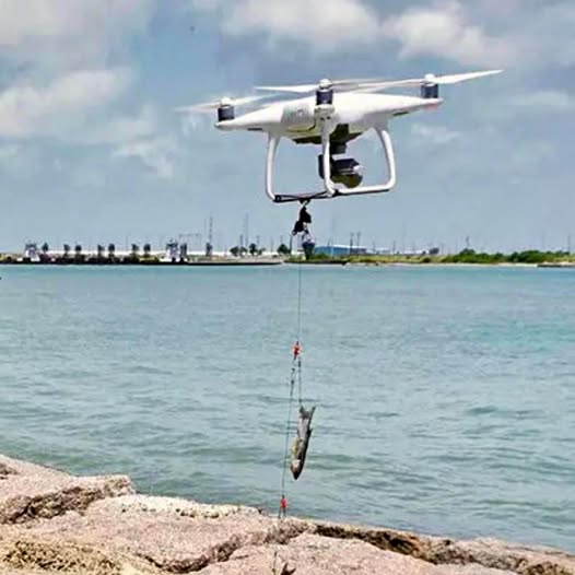 DJI Phantom 4 drone with bait dropper, hovering above water near a shoreline