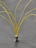 Scale Repro's Plus 7005 1/24,1/25 8 Cylinder Distributor(Yellow Wire)