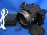 Panasonic LUMIX DMC-FZ10 4MP Digital Camera Optical Zoom Tested