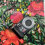 Panasonic Lumix 12x Optical Zoom Digital Point-and-Shoot Camera + 1GB SD Card