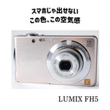 LUMIX Pink Compact Digital Camera CCD Sensor Retro Style From Japan