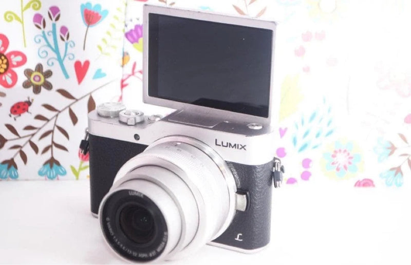 Panasonic Lumix GF9 Mirrorless Digital Camera Silver Working JP