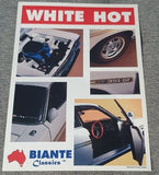 BIANTE BROCHURE - 1:18 FORD XY GTHO WHITE TWIN MIRROR - RARE!