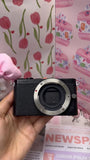 Panasonic GM1 Micro Four Thirds-Wide Lens Compatibility,Great for Various Shoots