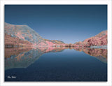Converted 550nm Infrared IR Panasonic DMC-G1 12 MP Mirrorless  Camera 60