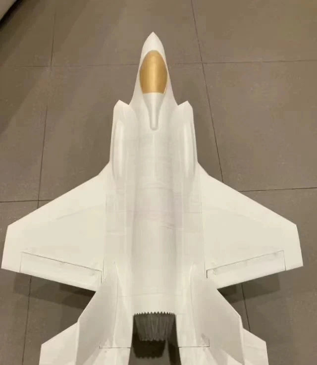 3DPrinted Fixed-Wing F-35A 64 mm bypass ratio £¬Wingspan: 720mm FPV  RC Model