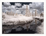 Converted Infrared IR 720nm Panasonic Lumix DMC-G3 Camera 8GB SD Card 145