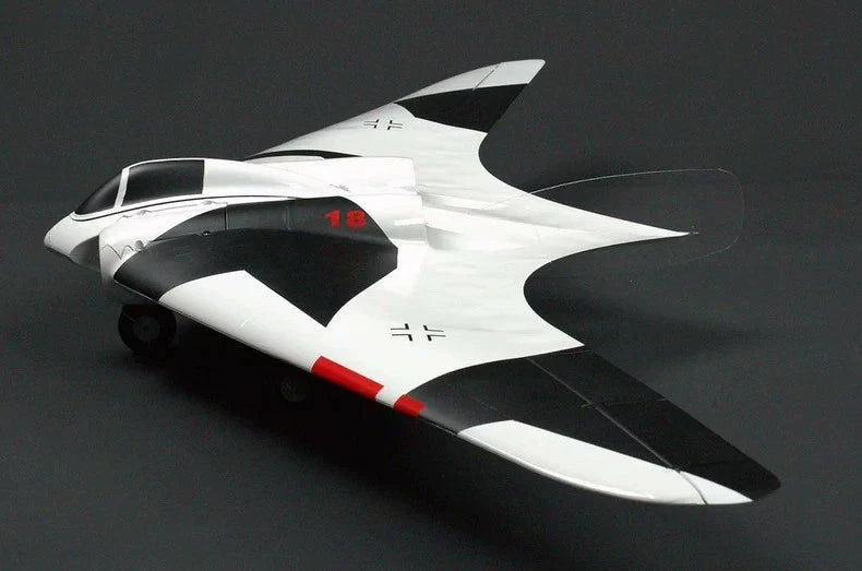 3DPrinted Fixed-Wing Model Horton Ho-229  Wingspan :  1220mm FPV Wing RC Model