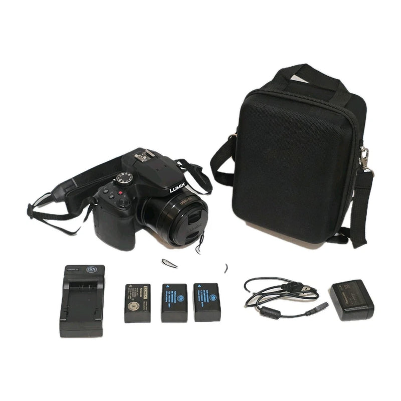 Panasonic Lumix FZ80  Camera Kit - Case, 2  Batteries & Charger