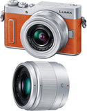 Panasonic Mireless SLR camera GF10 Double Lens Kit Standard Zoom Lens/Singl