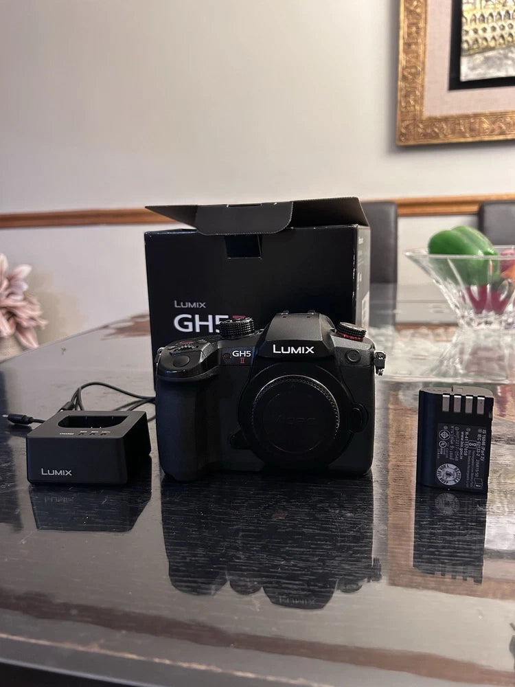 Panasonic LUMIX GH5M2, 20.3MP Mirrorless Micro Four Thirds Camera