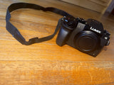 Panasonic LUMIX G Mirrorless Camera Black w/ Lens, Bag, Charger, USB, Flash