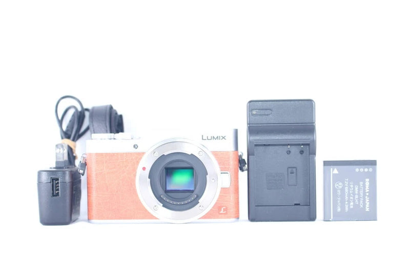 Superb Condition Panasonic LUMIX DC-GF9 Body, Fully Functional #E370