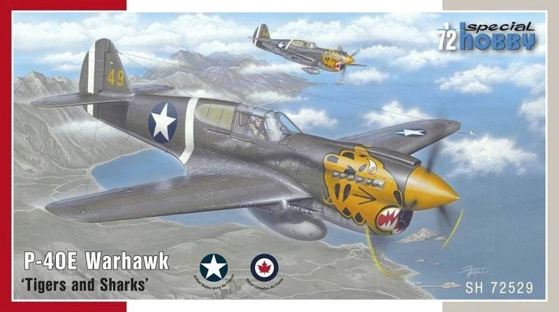 Gray P-40E Warhawk model plane with tiger and shark nose art, 1:72 scale