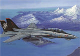 1/48 Hobby Boss F-14D Super Tomcat