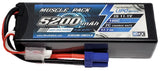 Hard-case LiPo battery pack with EC5 connector, 3S 11.1V 5200mAh, red/blue leads