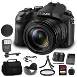 Panasonic Lumix DMC-FZ2500 Digital Camera (DMC-FZ2500) Bundle +64GB Memory Card