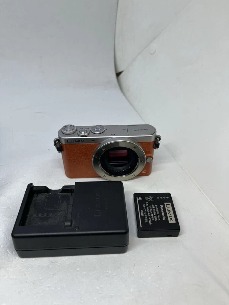 Panasonic LUMIX DMC-GM1 Orange Body with accessories, Shutter count3838