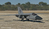 3DPrinted Fixed-Wing f-111 model£¬Wingspan: 1200mm FPV RC Unpainted Model