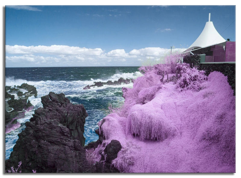 Converted Infrared  Full Spectrum Panasonic Olympic Edition G3 Camera 14-45 Lens