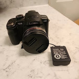 Panasonic Lumix FZ35 12MP Digital Camera Works!