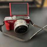Panasonic LUMIX DMC-GF6 Mirrorless Camera Lens Kit