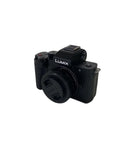 Panasonic mirrorless digital camera single-lens DC-G100DW-K Used