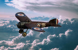 Bristol M1C Monoplane 48