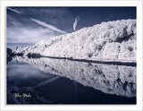 Converted Infrared IR Full Spectrum Panasonic G3 Camera 148