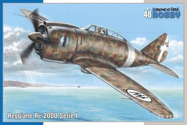 Reggiane Be 2000 Serie I 1:48 scale model aircraft with camouflage finish