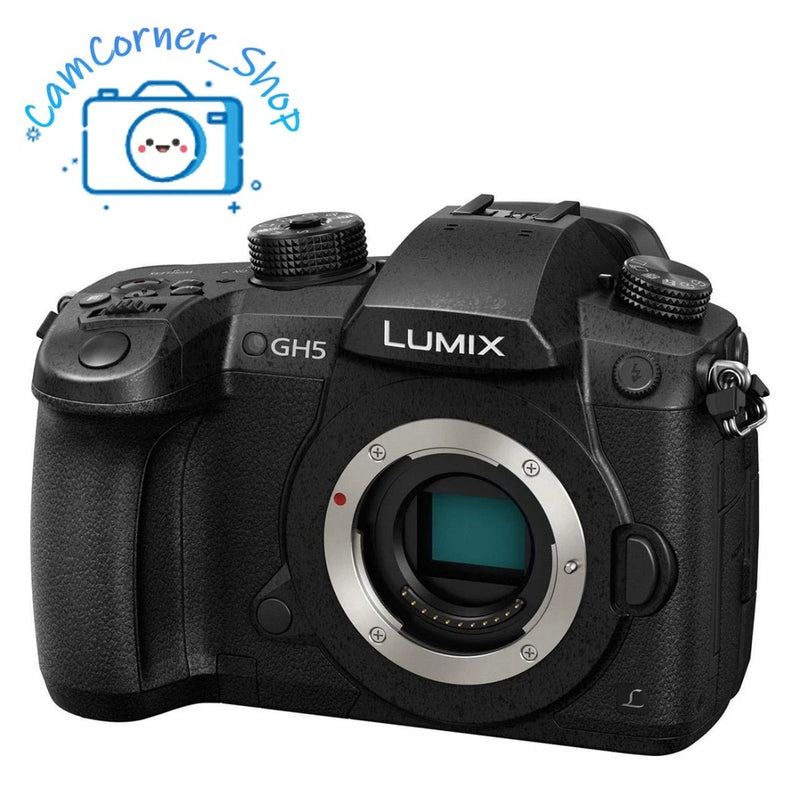 Panasonic LUMIX DC-GH5 4K 60p Mirrorless Camera 10-bit V-LogL Dual I.S. ProVideo
