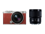 Panasonic LUMIX S9 W Kit 18-40mm+50mm Light Silver x Crimson Red Leather