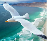 3DPrinted Fixed-Wing sea gull model£¬Wingspan: 1500mm FPV RC Unpainted Model