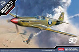 1/48 USAAF P-51 fighter model kit box art, gold plane with red nose and U.S. insignia