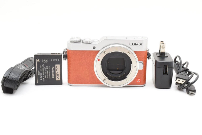 Panasonic LUMIX DC-GF9 Orange #1952