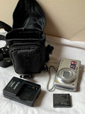 Panasonic LUMIX DMC-FH20 14.1MP Digital Camera - silver With Charger Case