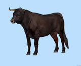 1/18 1/24 1/43 1/64 Miniatures Brown Cow Scene Prop Figure For Cars Vehicles